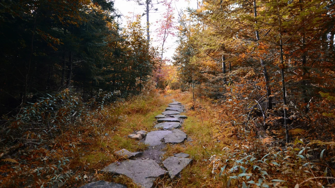 пейзаж, природа, красота