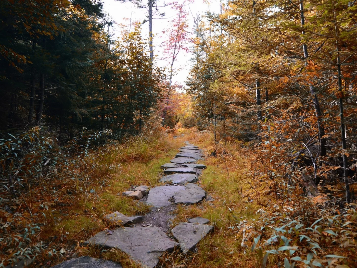 пейзаж, природа, красота