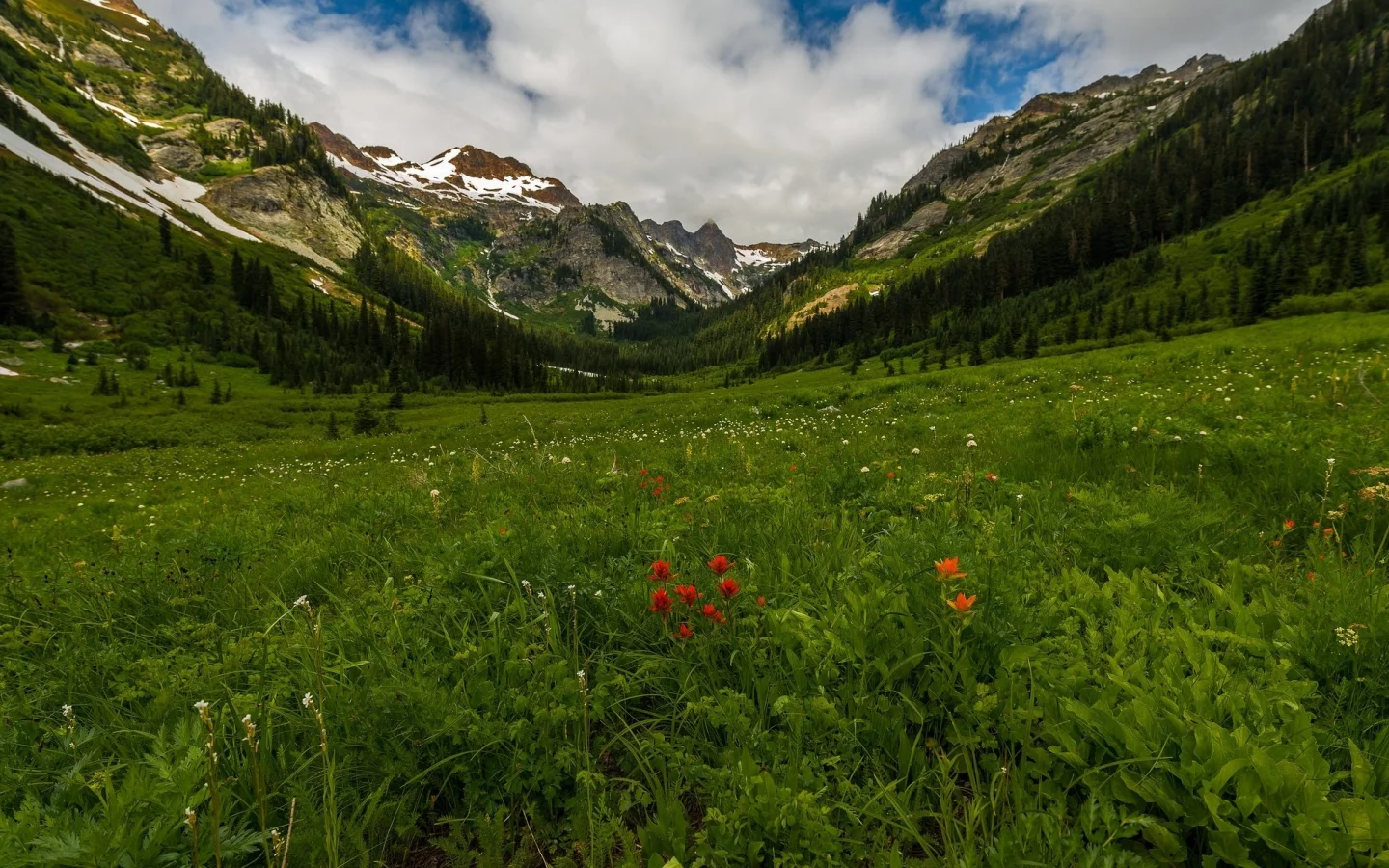 пейзаж, природа, красота