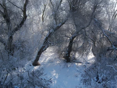 mamala, зима 2010