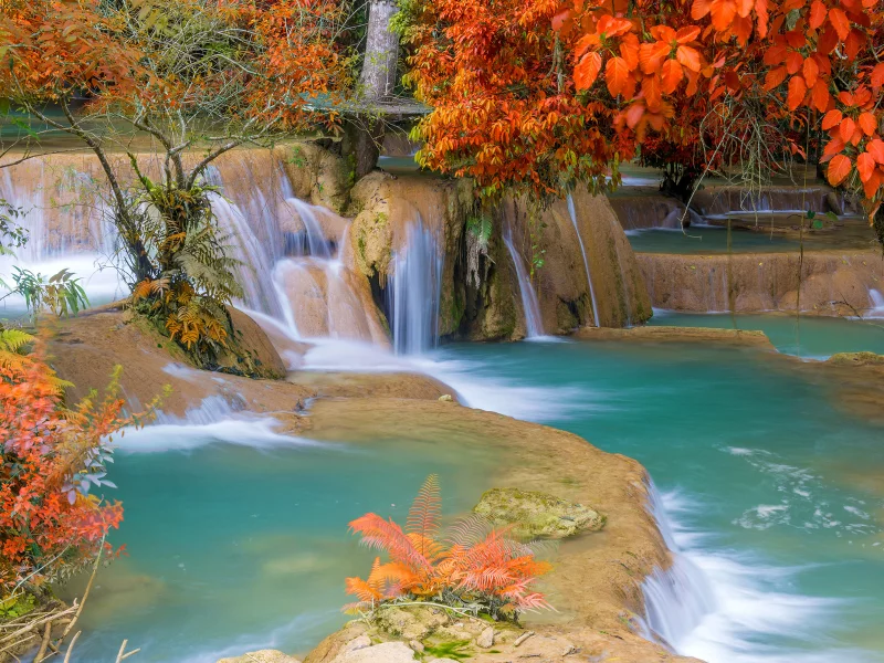 природа, лес, водопад