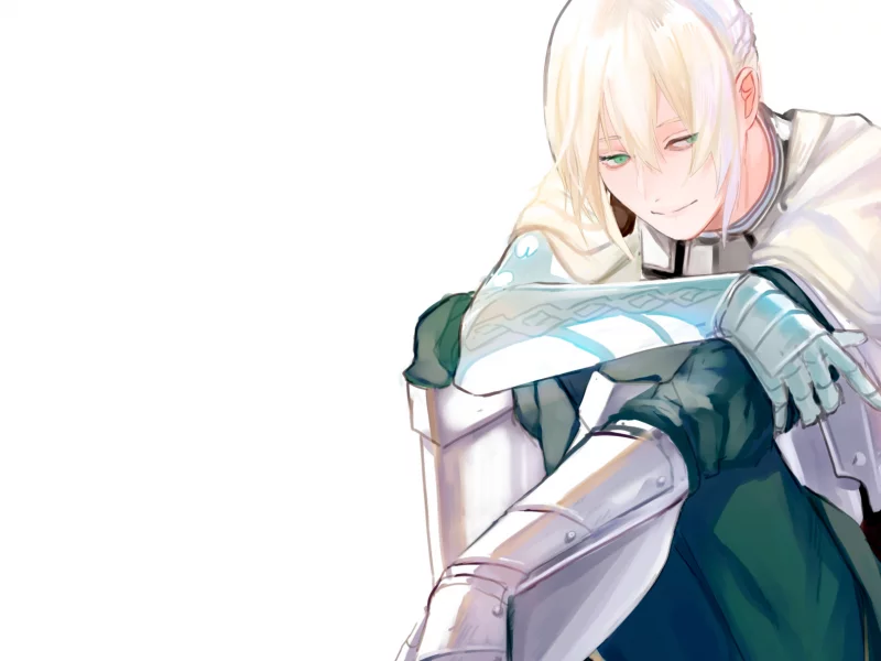 fate grand order, cудьба великая кампания