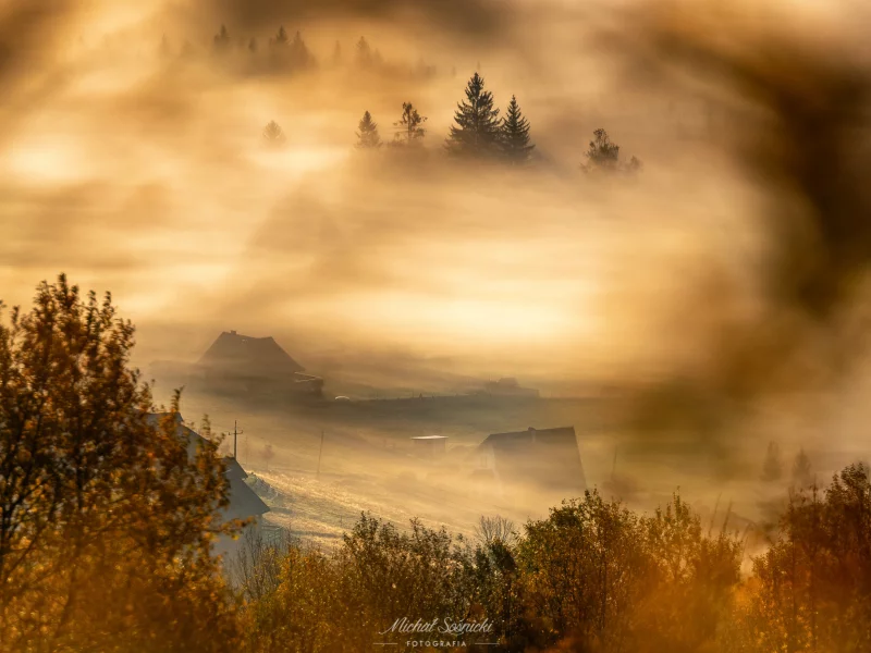 природа, лес, туман, осень