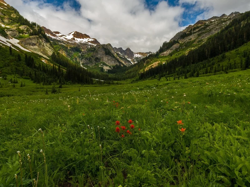 пейзаж, природа, красота