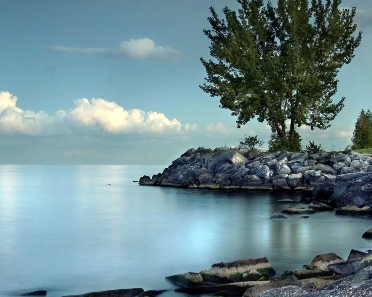 берег, море, камни, дерево