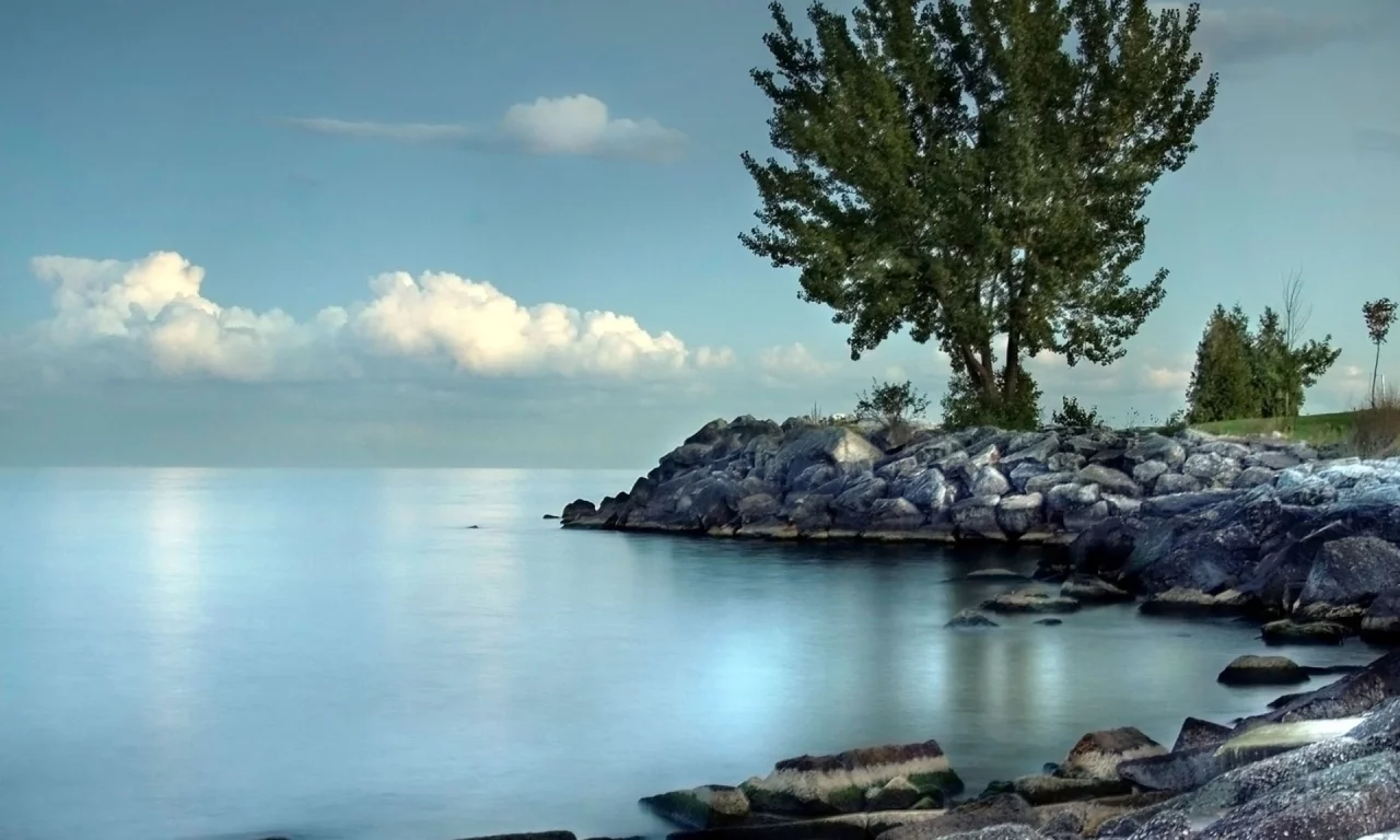 берег, море, камни, дерево