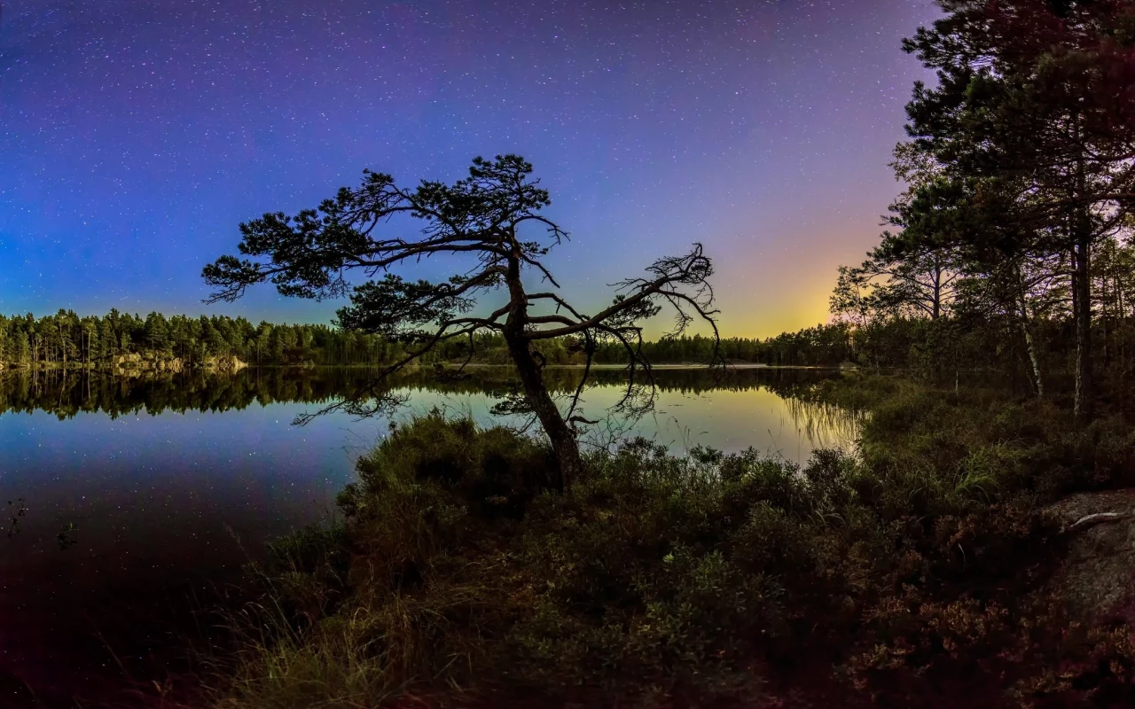 пейзаж, природа, красота