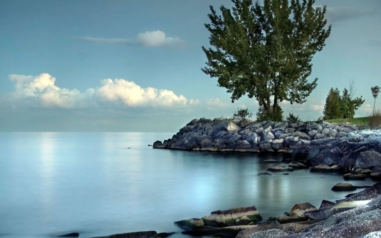 берег, море, камни, дерево