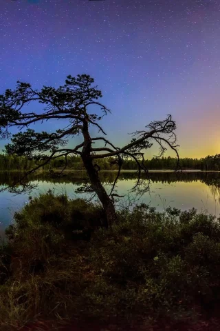 пейзаж, природа, красота