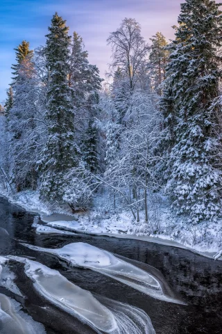 зима, лес, река