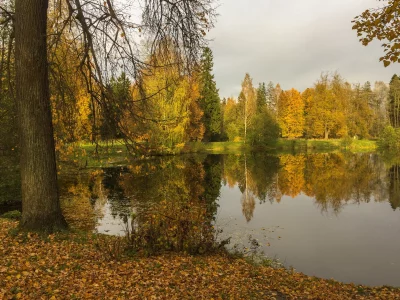 лес, озеро, осень