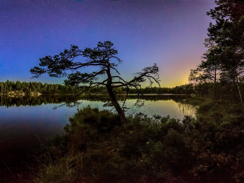 пейзаж, природа, красота