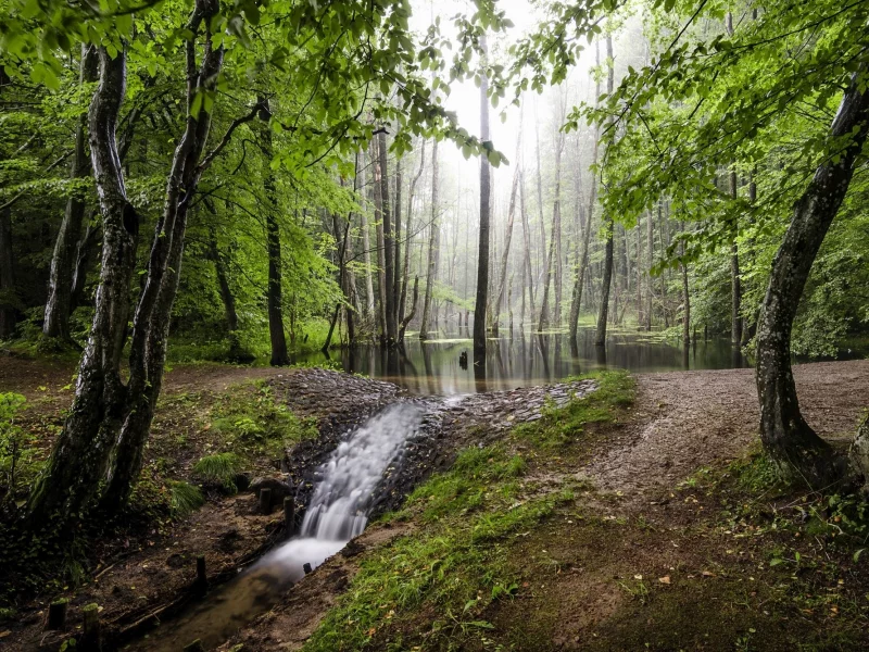 пейзаж, природа, красота