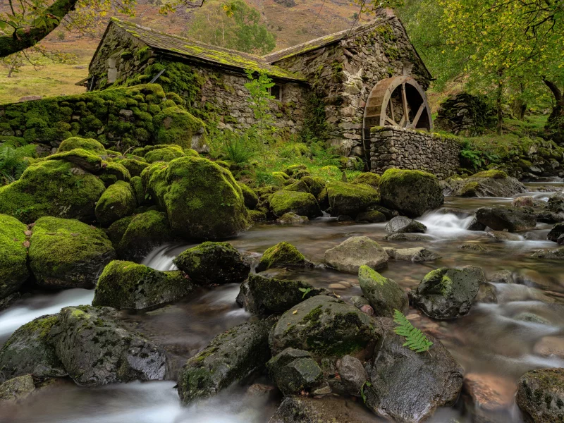 мельница, камни, лес