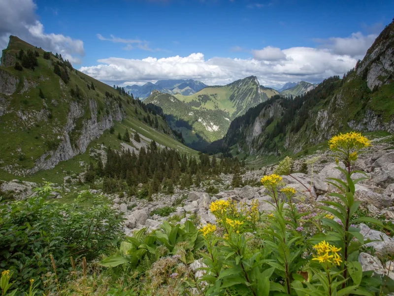 пейзаж, природа, красота