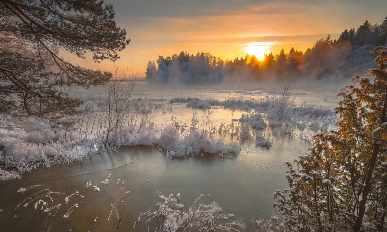 мороз, зима, снег, закат