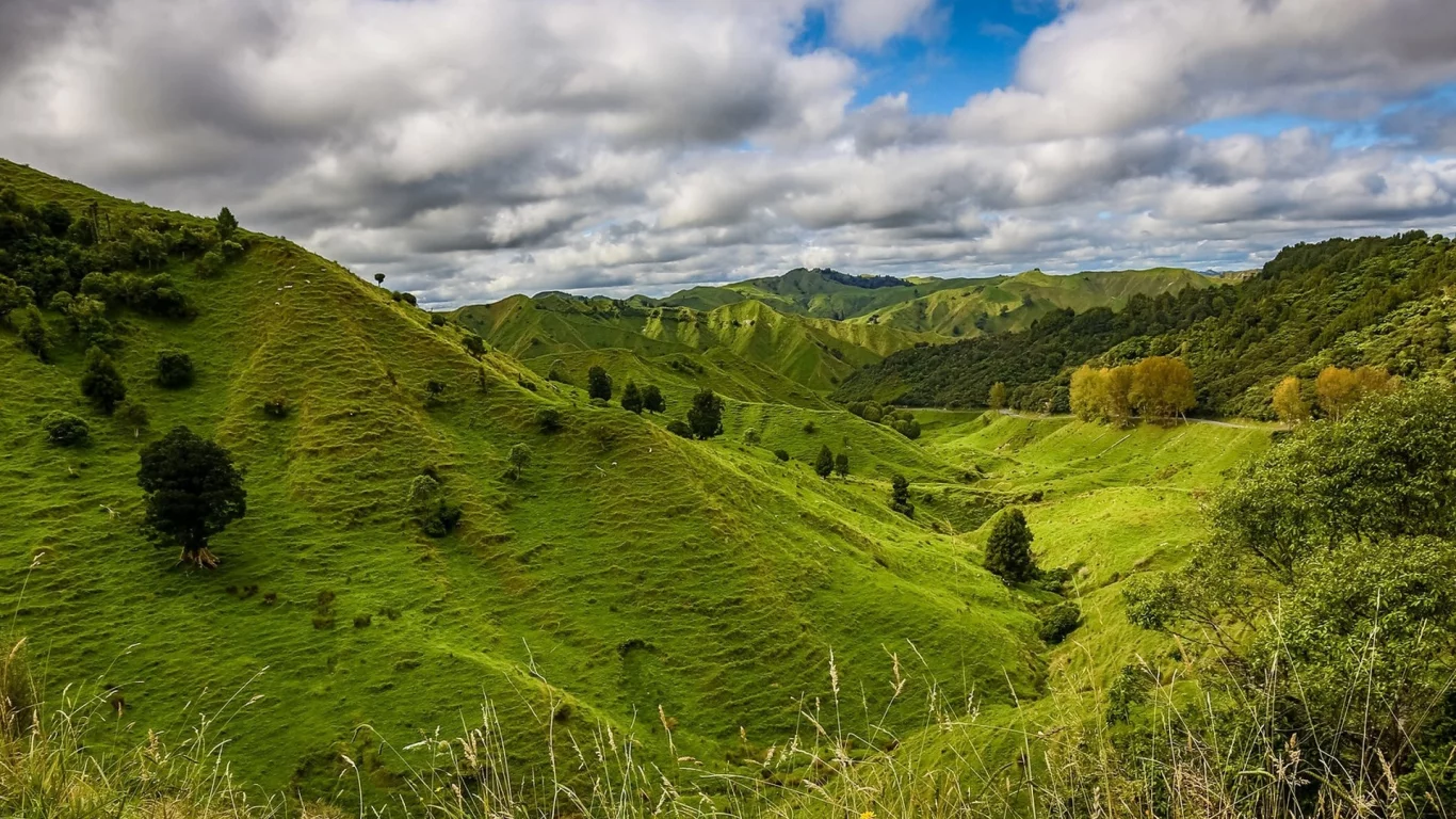 пейзаж, природа, красота