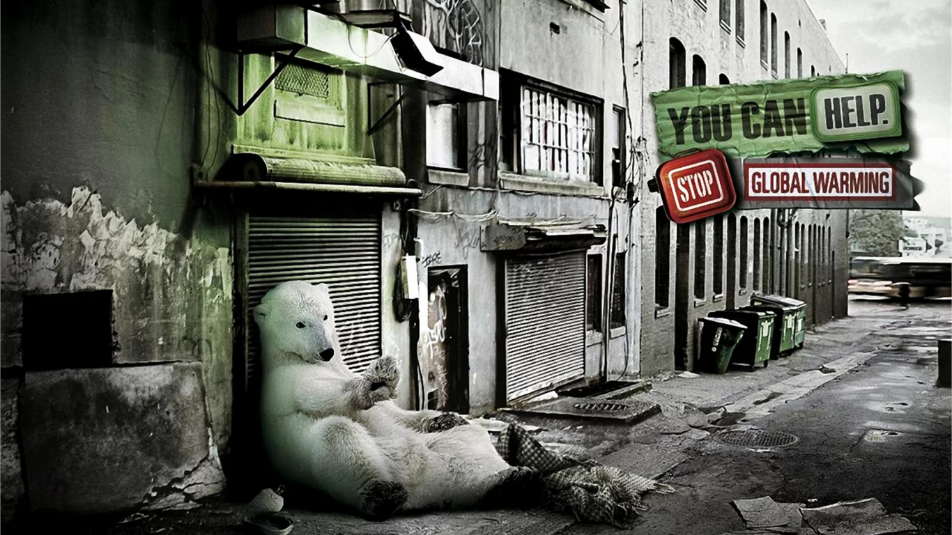 медведь, белый, лежит на улице