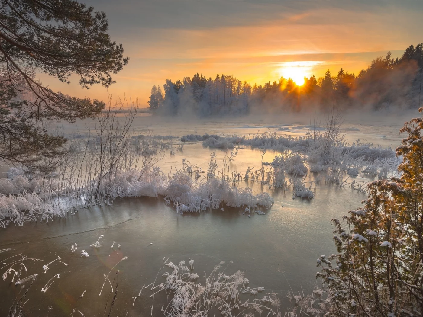 мороз, зима, снег, закат