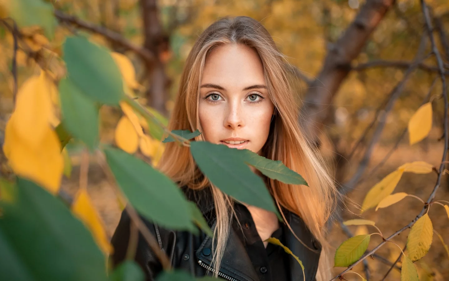 девушка, взгляд красивая