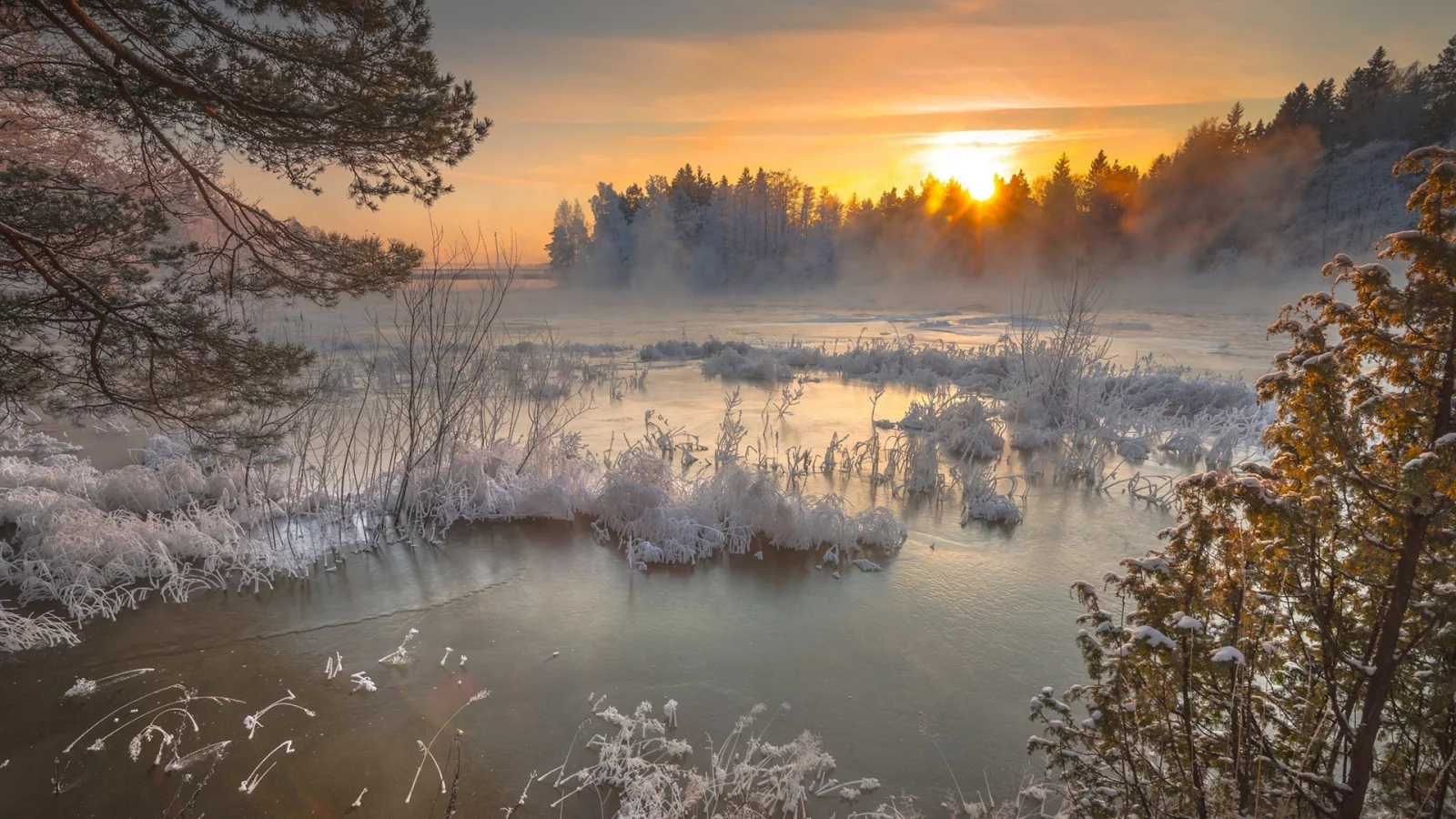 мороз, зима, снег, закат