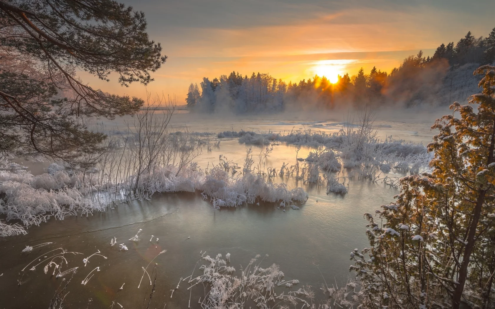 мороз, зима, снег, закат