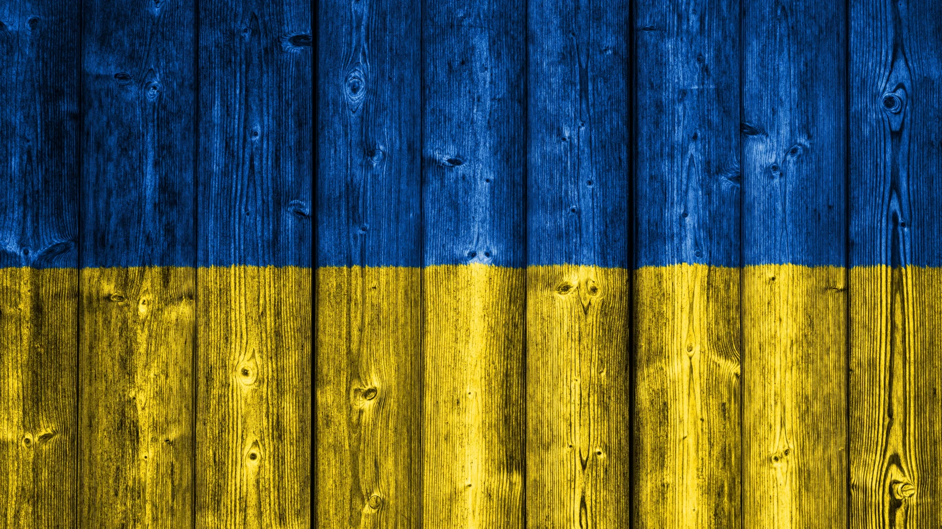 забор, доски