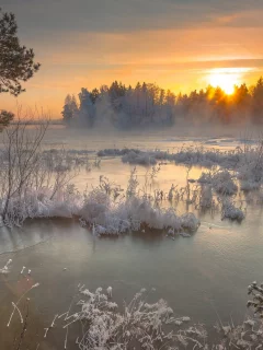 мороз, зима, снег, закат