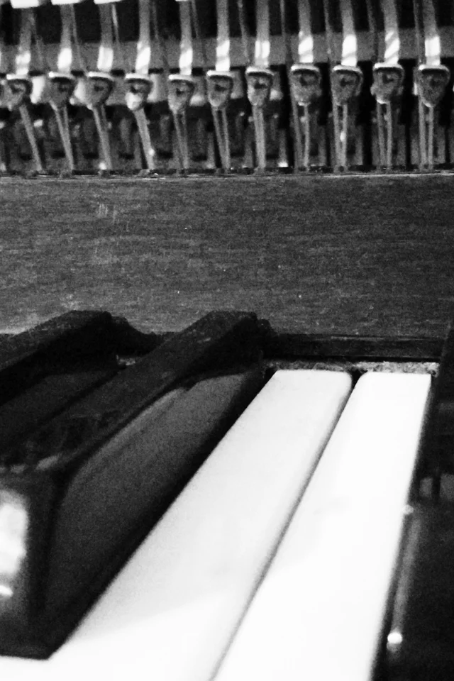 piano, пианино, знак качества
