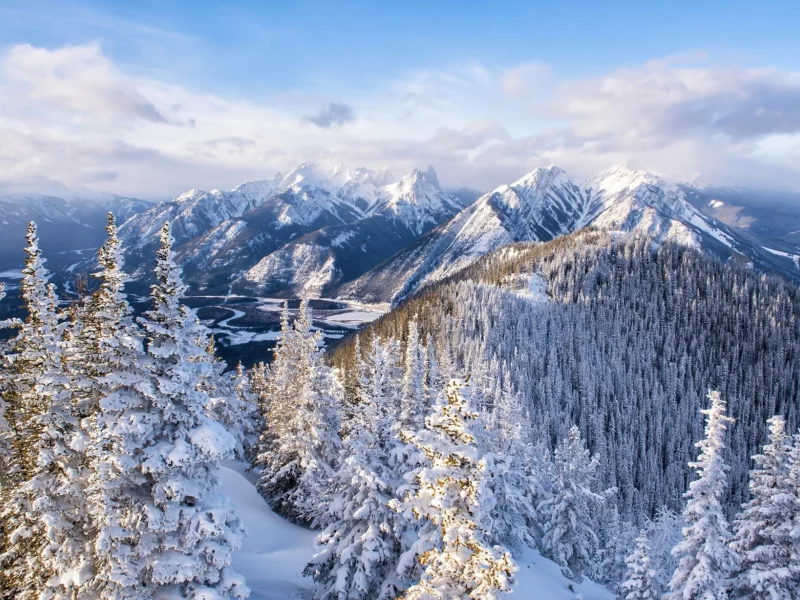 пейзаж, природа, красота