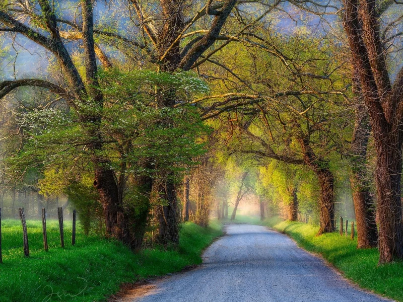 пейзаж, природа, красота