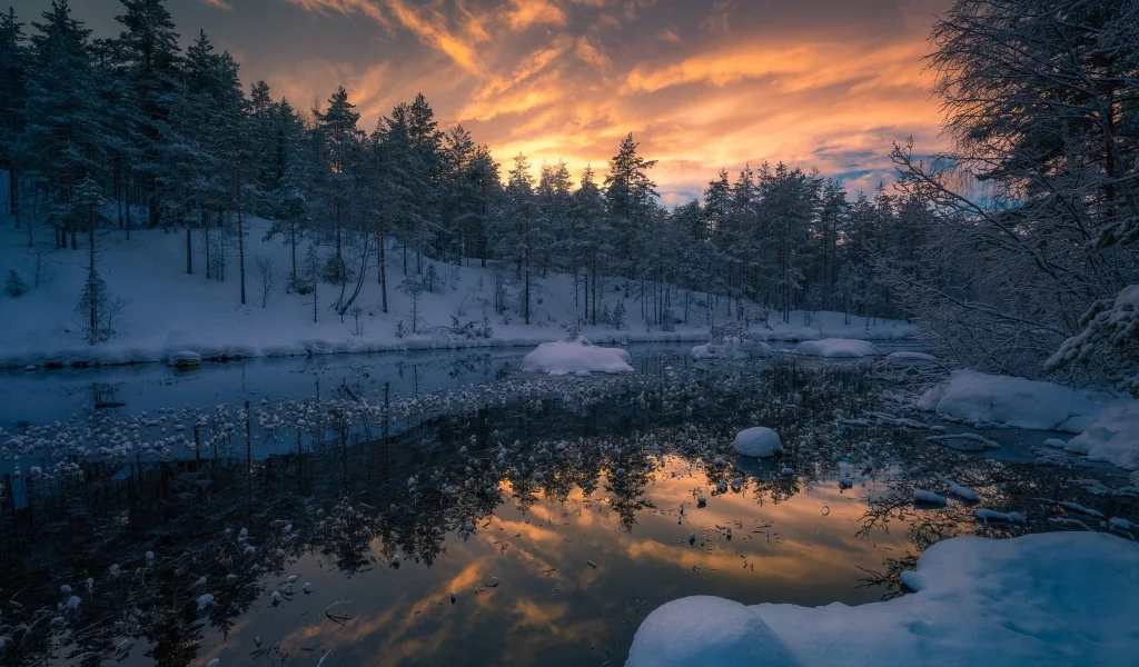 пейзаж, природа, красота