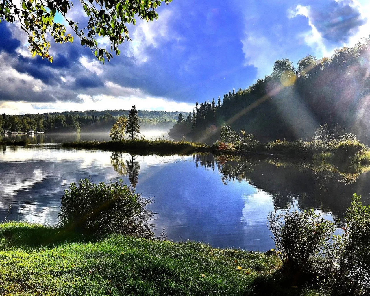 природа, лес, деревья, озеро, лучи солнца