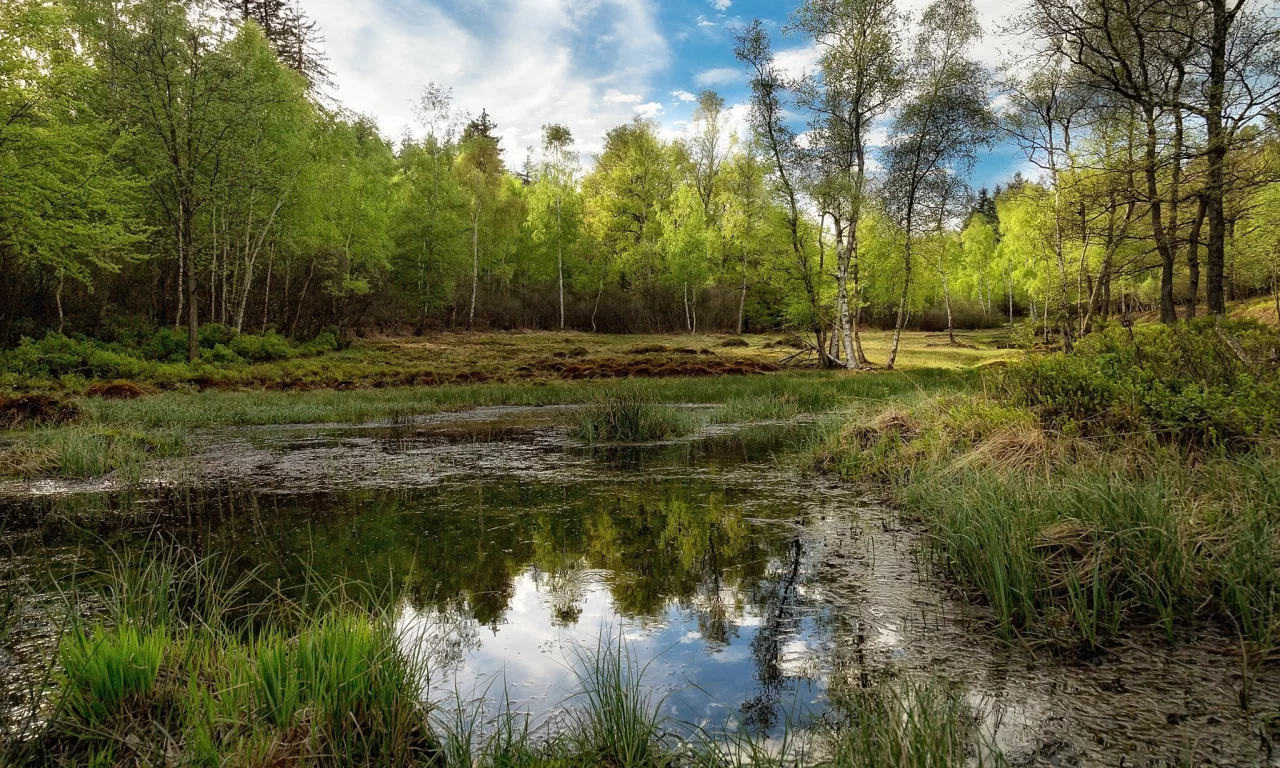 пейзаж, природа, красота