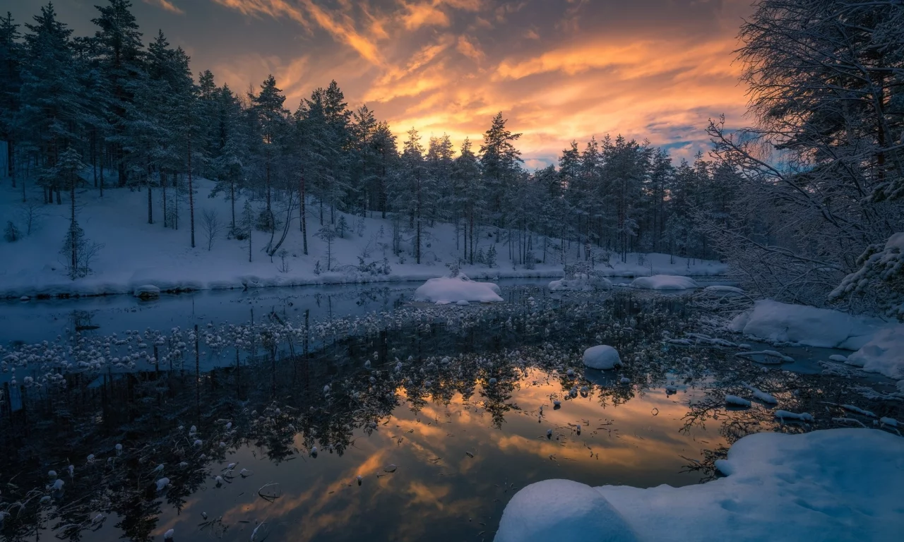 пейзаж, природа, красота
