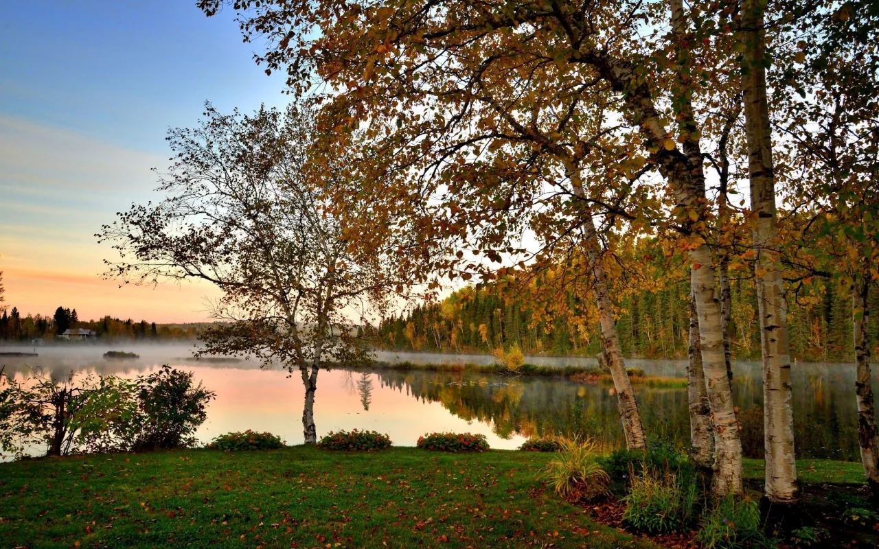 пейзаж, природа, красота