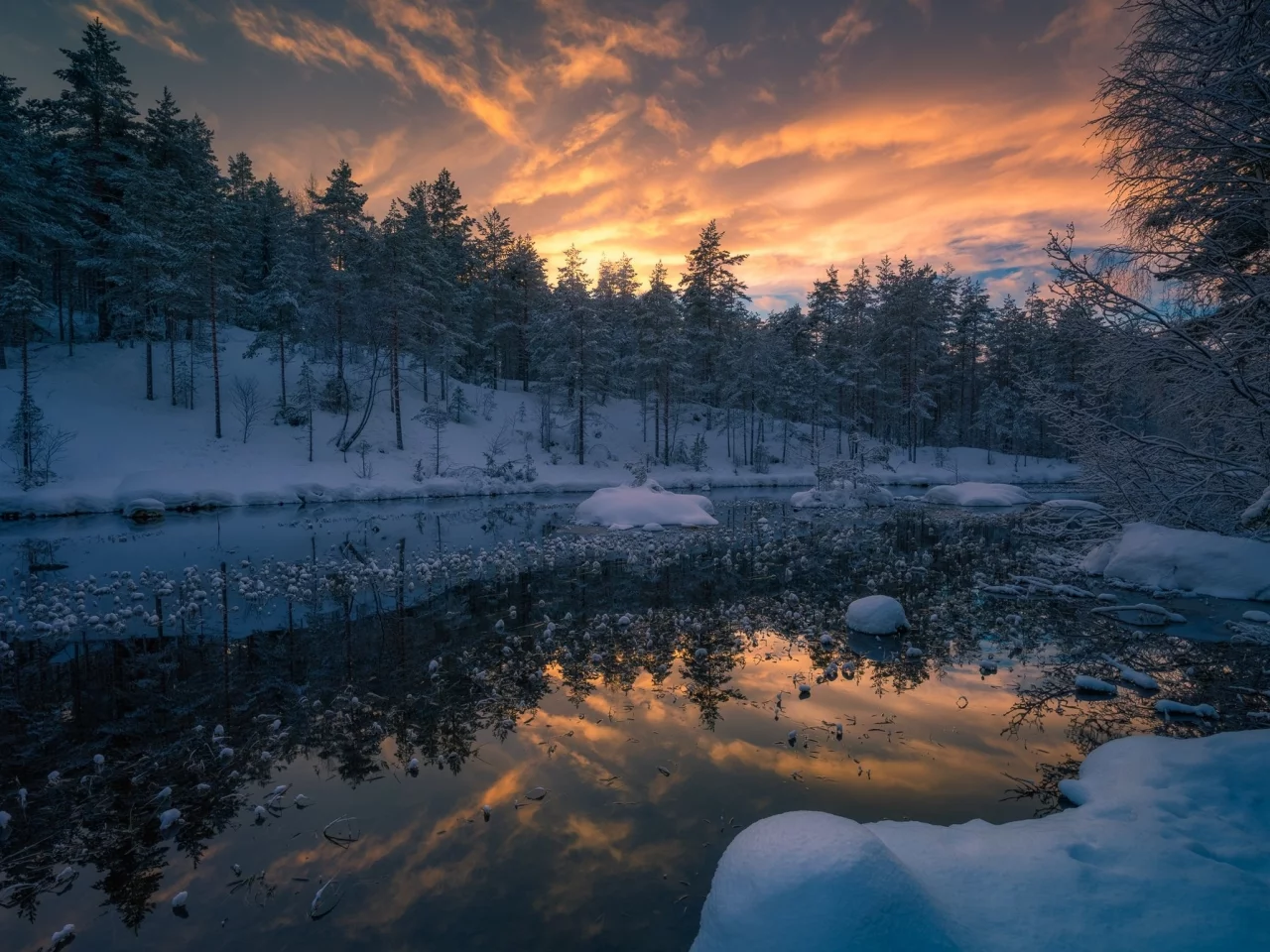 пейзаж, природа, красота
