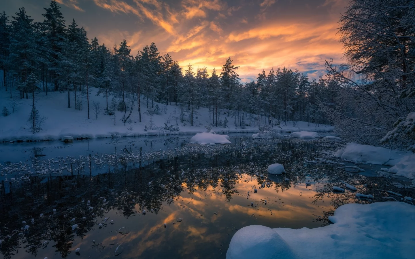 пейзаж, природа, красота