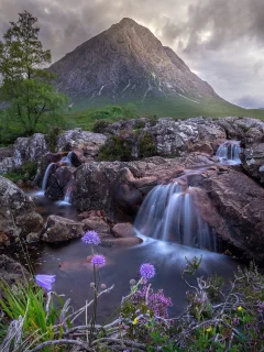пейзаж, природа, красота