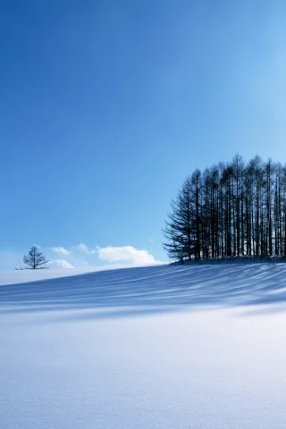зима, снег, природа