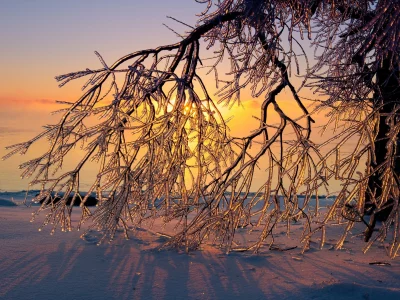 пейзаж, природа, красота