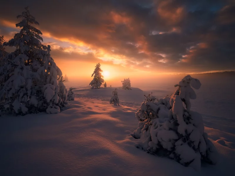 пейзаж, природа, красота