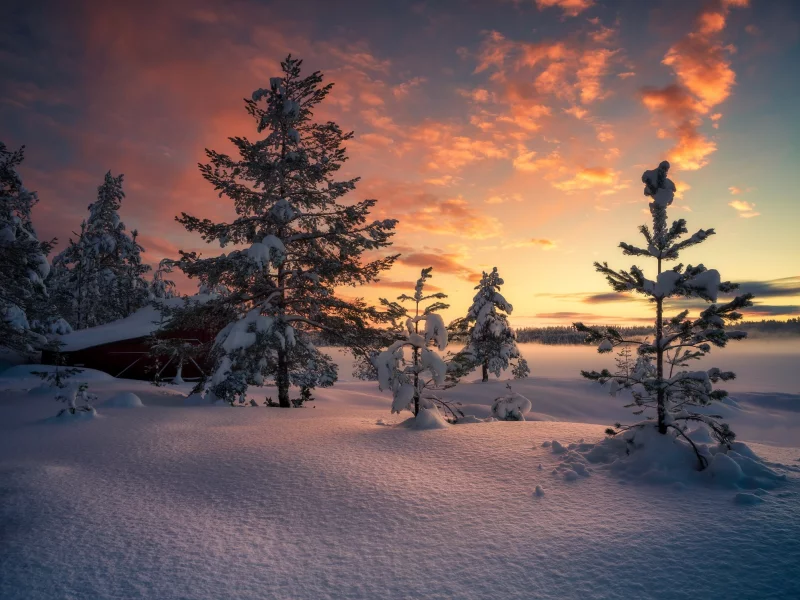 пейзаж, природа, красота
