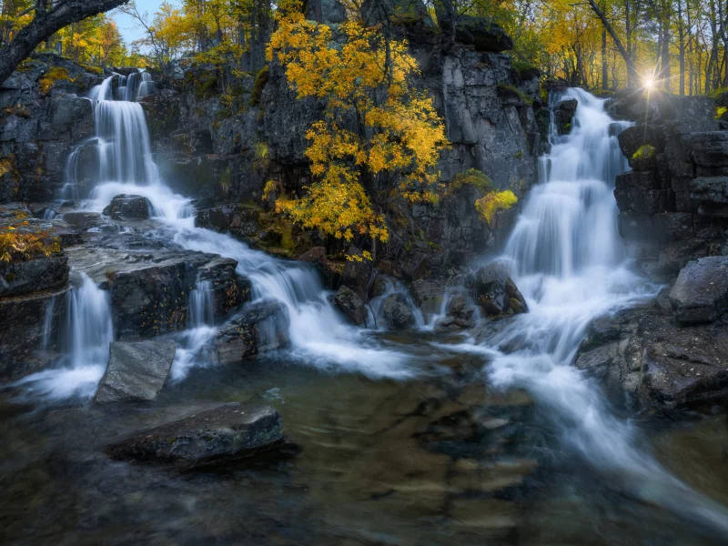 природа, лес, водопад