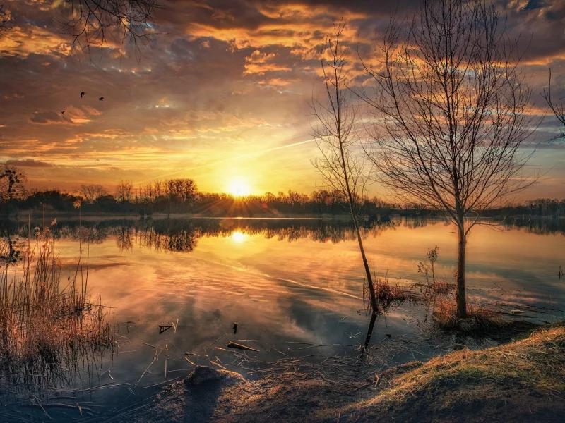 пейзаж, природа, красота