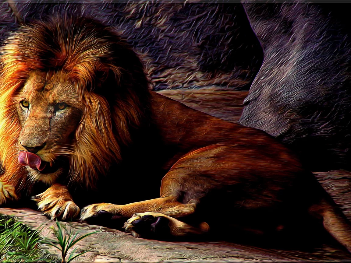 лев, грива, дикий кот