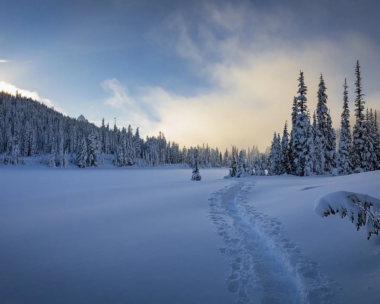пейзаж, природа, красота