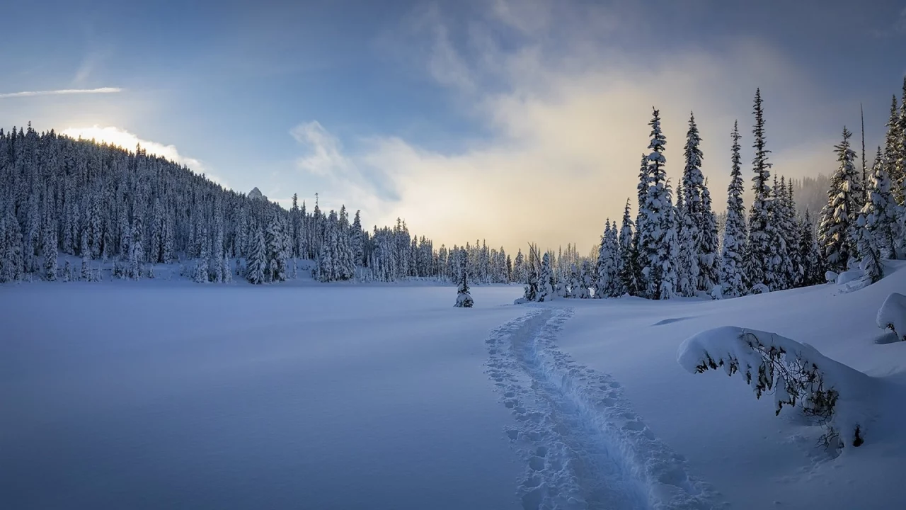 пейзаж, природа, красота