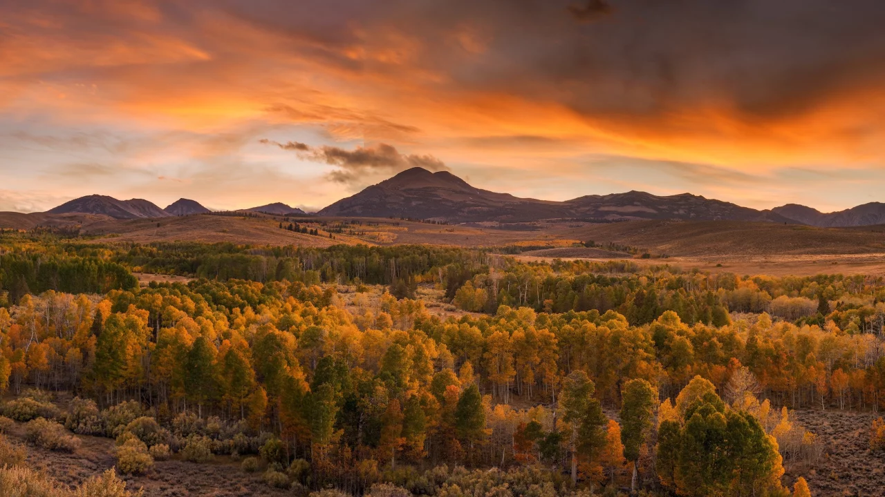 пейзаж, природа, красота