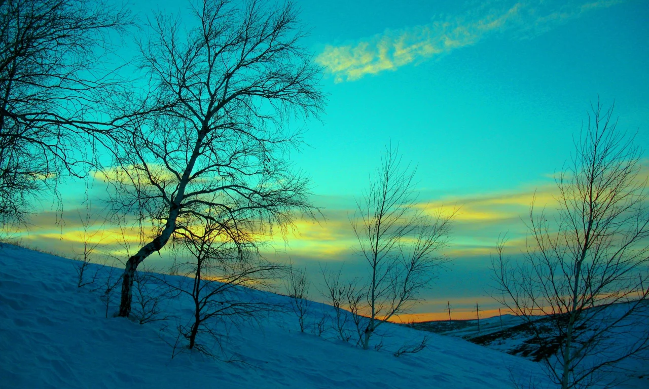зима, природа